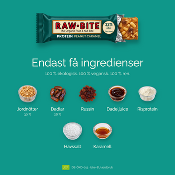 Protein Peanut Caramel 3